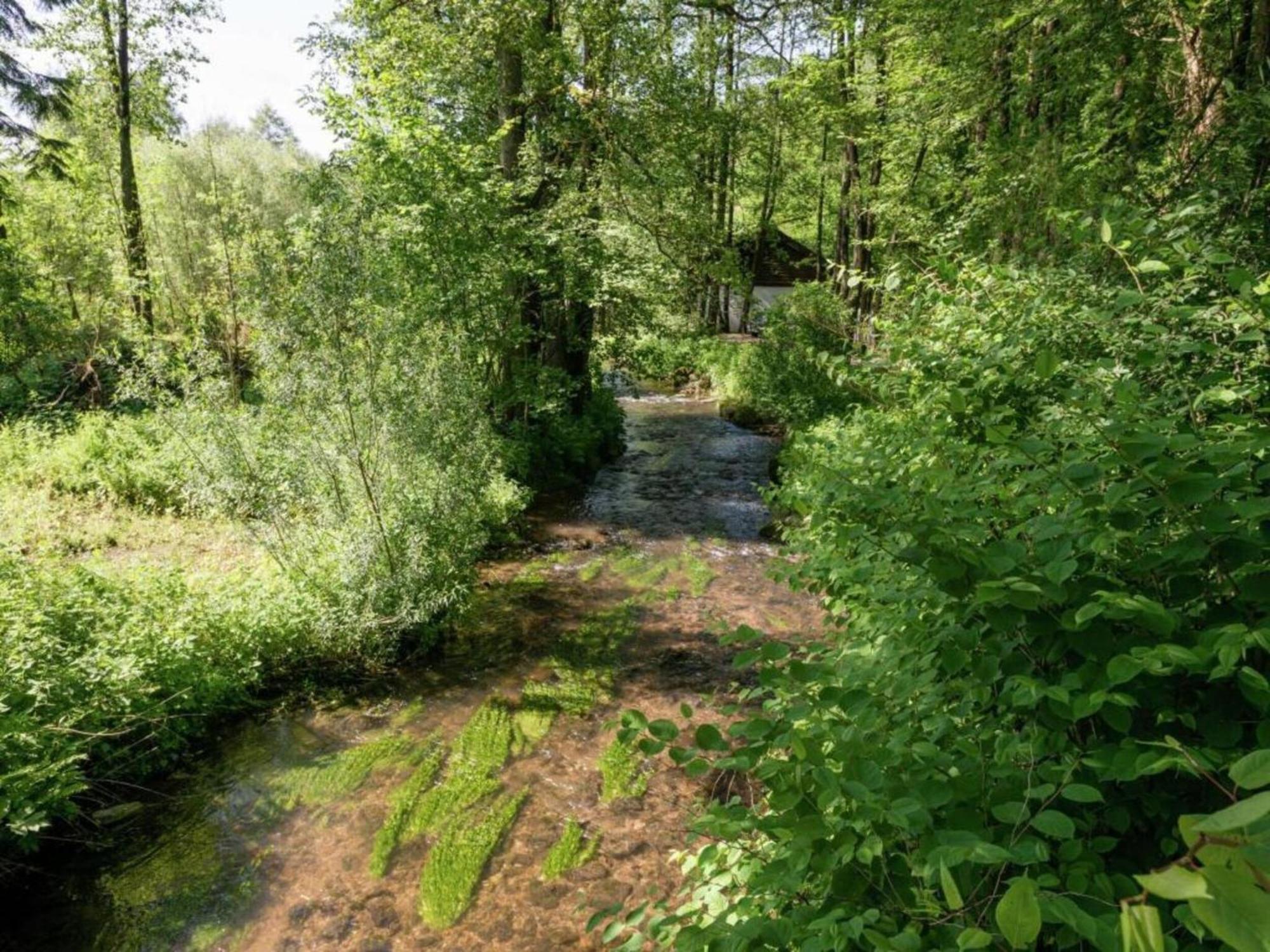 Cozy Cottage In Malmedy With Large Garden Екстериор снимка